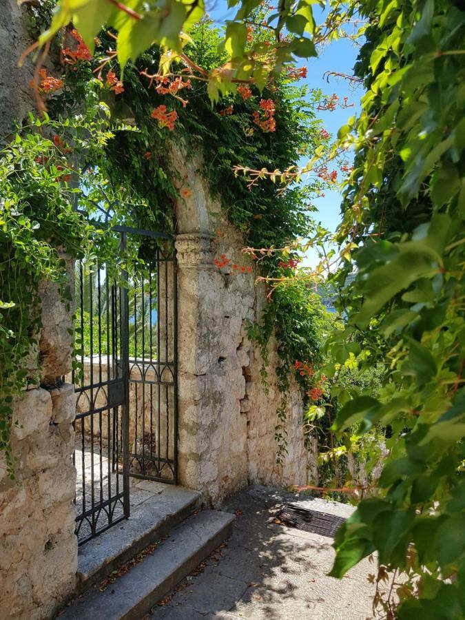 Villa Palmera Dubrovnik Exterior photo